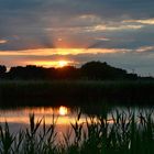 Sonnenuntergang in den Rieselfeldern