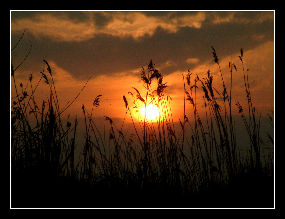 Sonnenuntergang in den Rieselfeldern