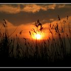 Sonnenuntergang in den Rieselfeldern