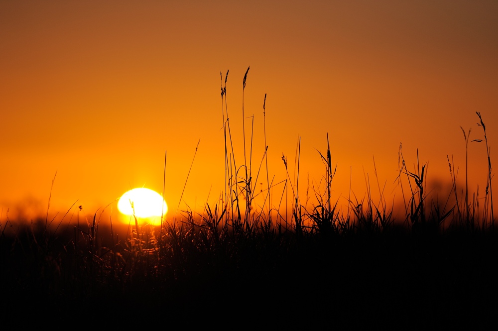 Sonnenuntergang in den Rieselfeldern