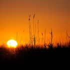 Sonnenuntergang in den Rieselfeldern