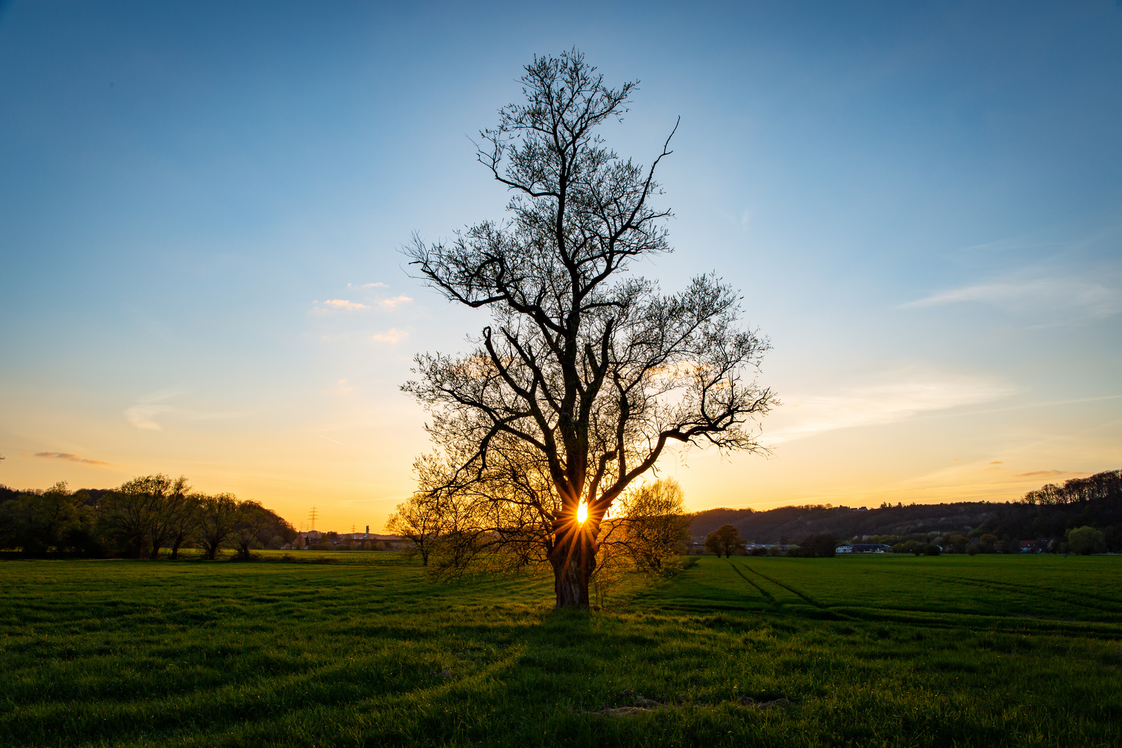 Sonnenuntergang in den Ruhrwiesen