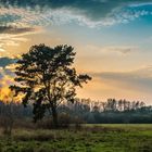 Sonnenuntergang in den Spreewiesen1