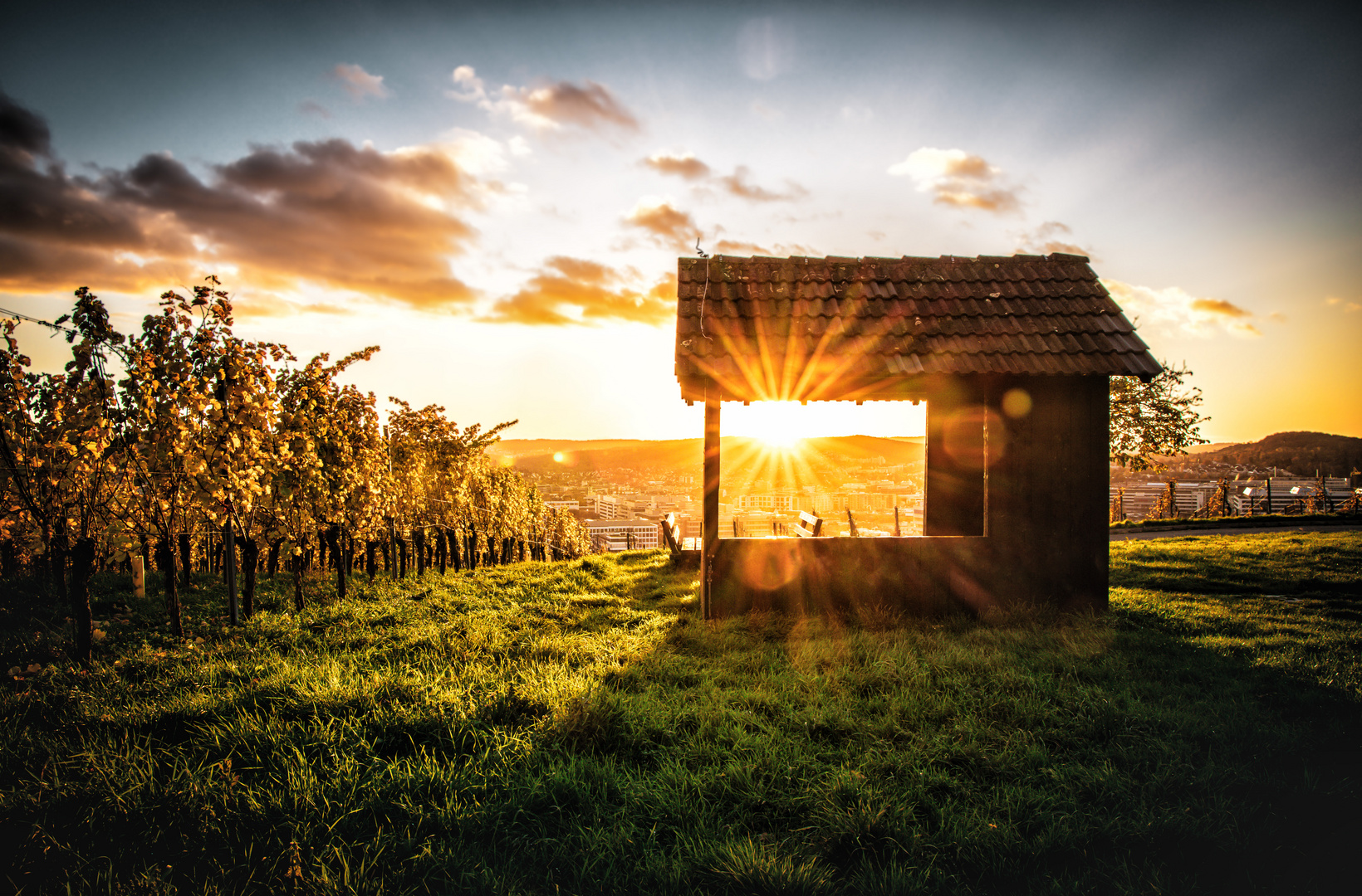 Sonnenuntergang in den Stuttgarter Weinbergen