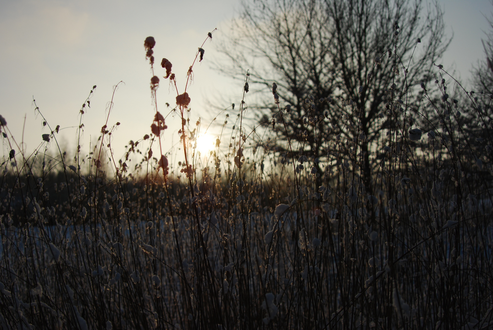 Sonnenuntergang in den Süchtelner Höhen