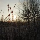 Sonnenuntergang in den Süchtelner Höhen