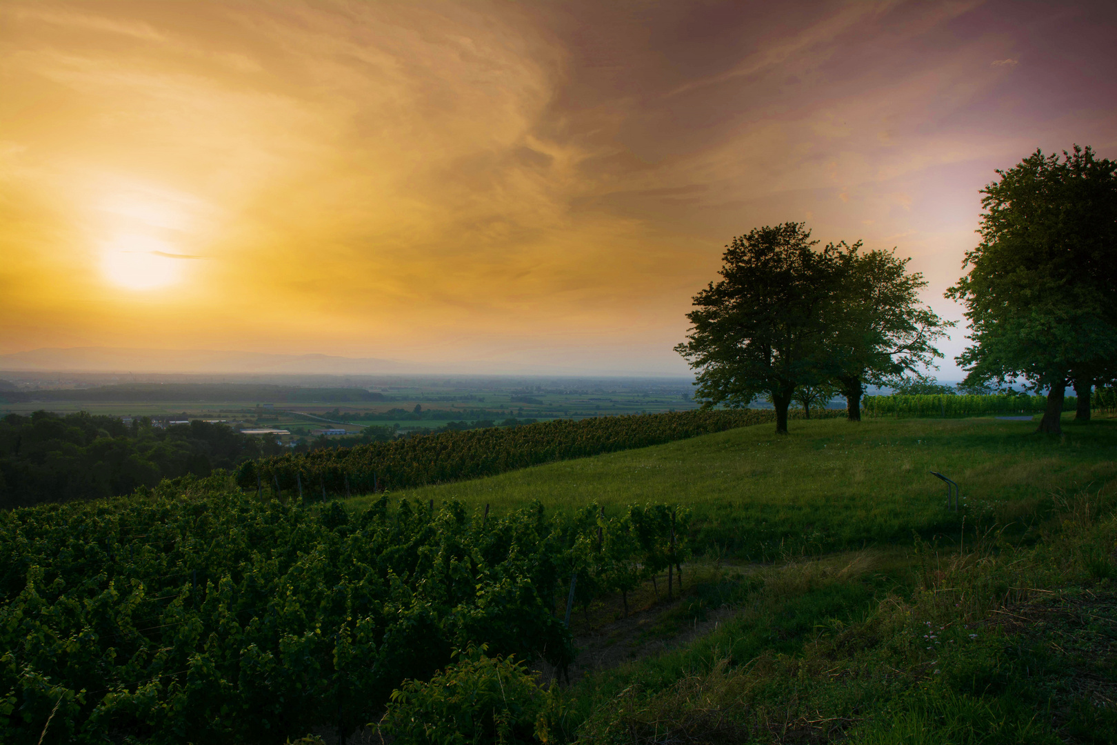 Sonnenuntergang in den Vogesen