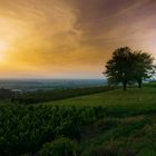 Sonnenuntergang in den Vogesen