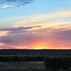 Sonnenuntergang in den Weinbergen