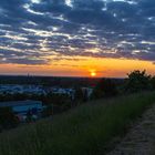 Sonnenuntergang in den Weinbergen