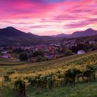 Sonnenuntergang in den Weinbergen