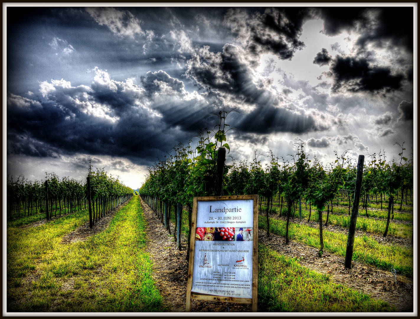 Sonnenuntergang in den Weinbergen