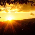 Sonnenuntergang in den Weinbergen der Mosel