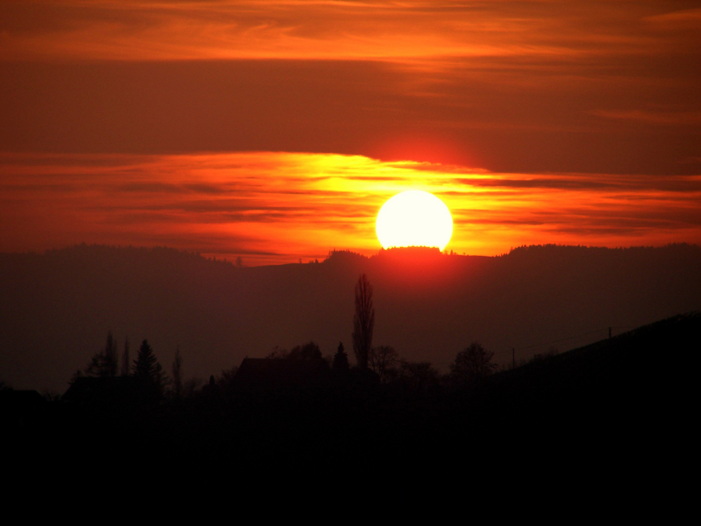 Sonnenuntergang in den weinbergen