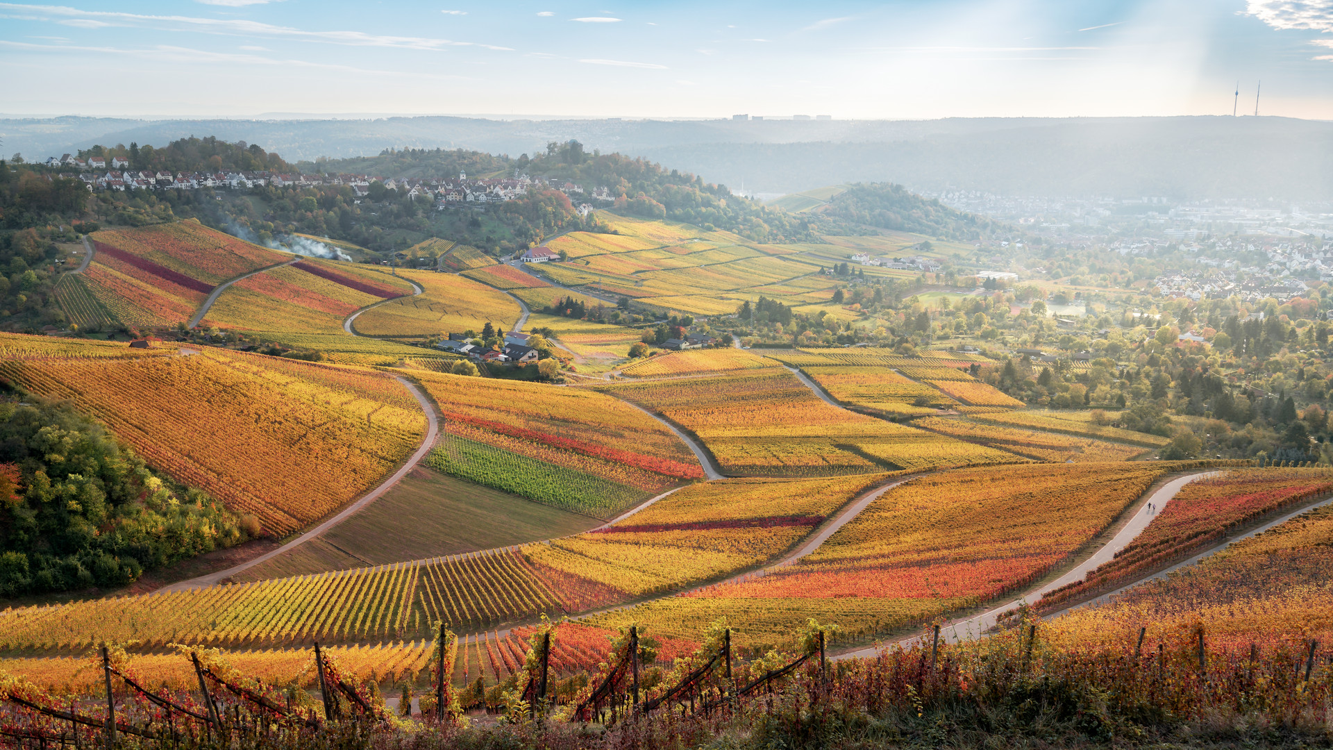 Sonnenuntergang in den Weinbergen in Stuttgart