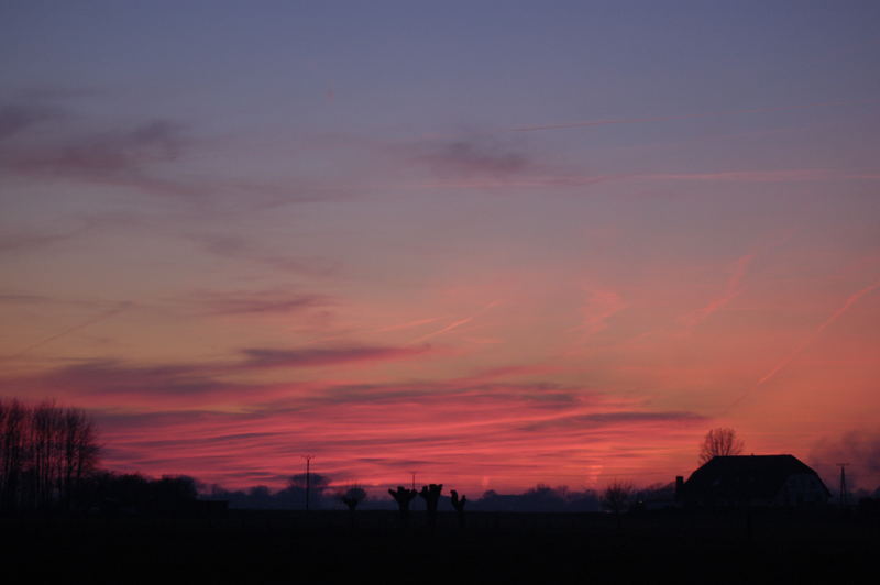 Sonnenuntergang in den Wiesen bei Appeldorn