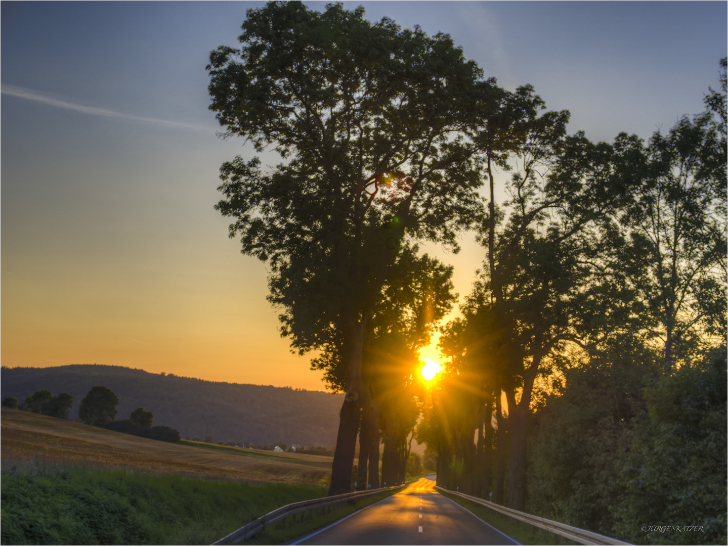 Sonnenuntergang in der Allee