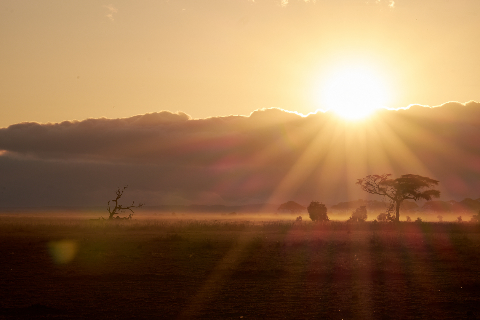Sonnenuntergang in der Amboseli 