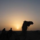 Sonnenuntergang in der Arabischen Wüste