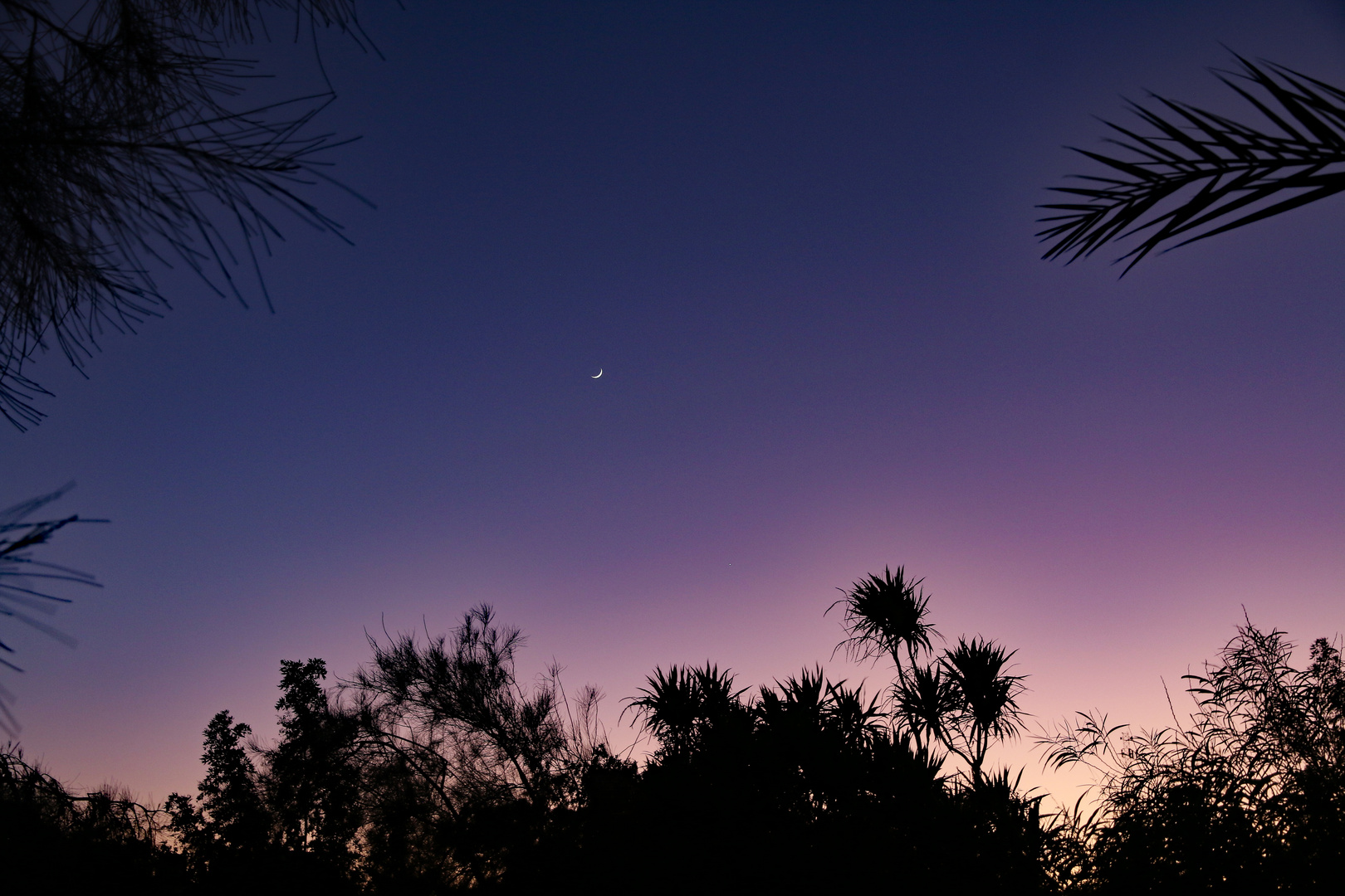 Sonnenuntergang in der Arabischen Wüste.