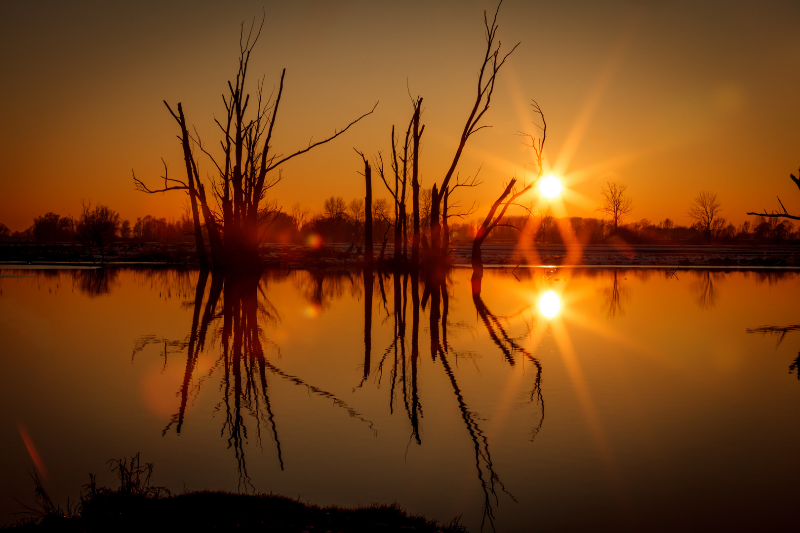 Sonnenuntergang in der Au