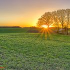 Sonnenuntergang in der Bocker Heide