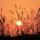 Sonnenuntergang in der Bretagne