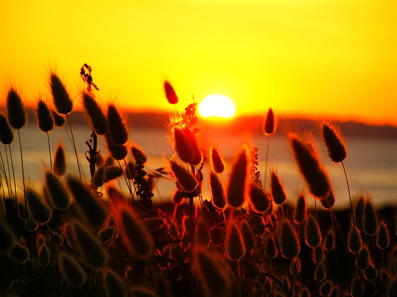 Sonnenuntergang in der Bretagne