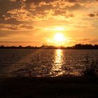 Sonnenuntergang in der Camargue