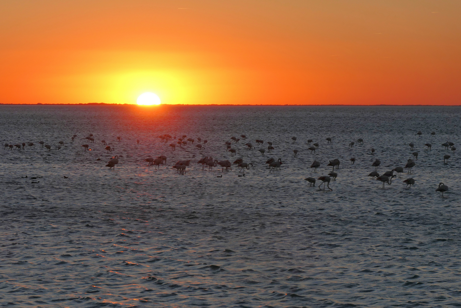 Sonnenuntergang in der Camargue