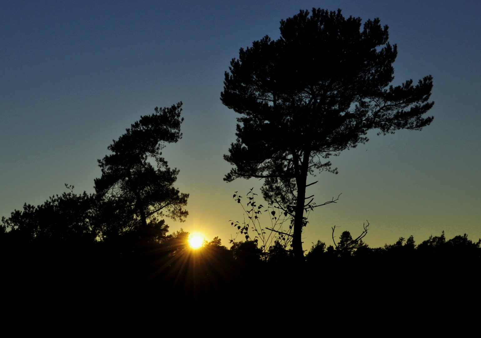 Sonnenuntergang in der Coesfelder Heide