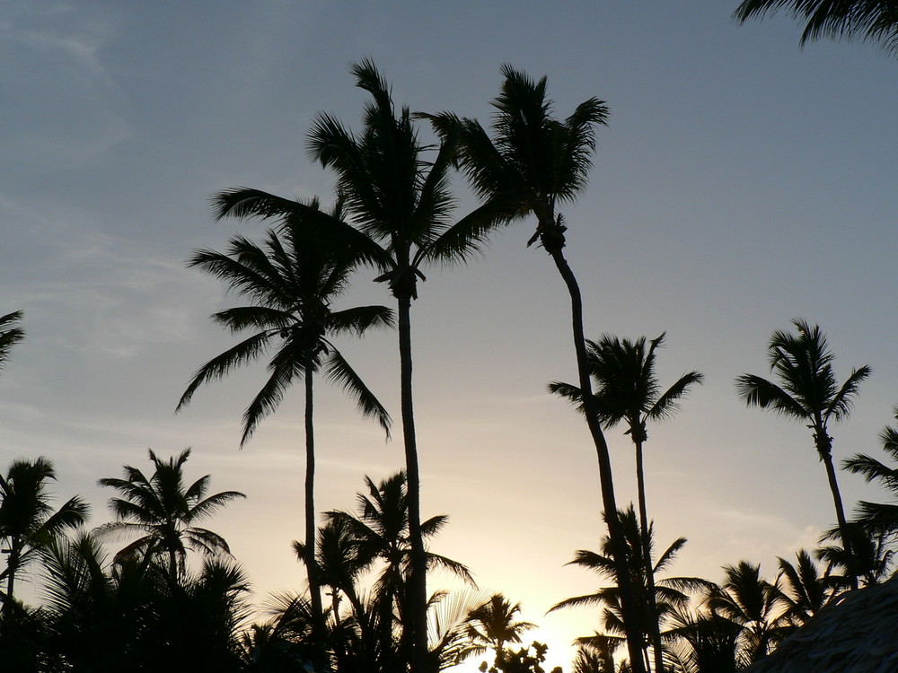 Sonnenuntergang in der Dominikanischen Republik