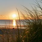 SONNENUNTERGANG IN DER DÜHNE