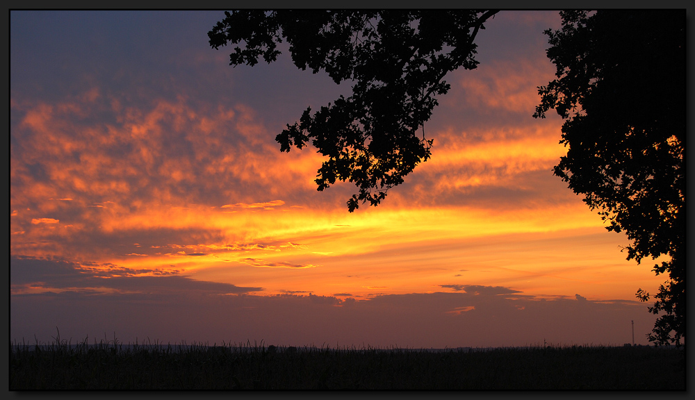 ...Sonnenuntergang in der Eichenallee...