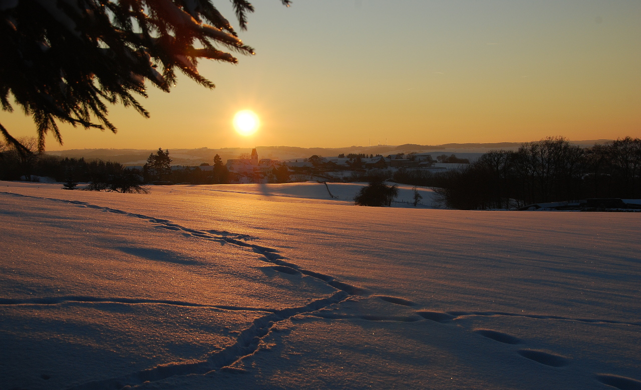 Sonnenuntergang in der Eifel (1)