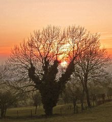 Sonnenuntergang in der Eifel