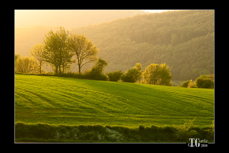 Sonnenuntergang in der Eifel