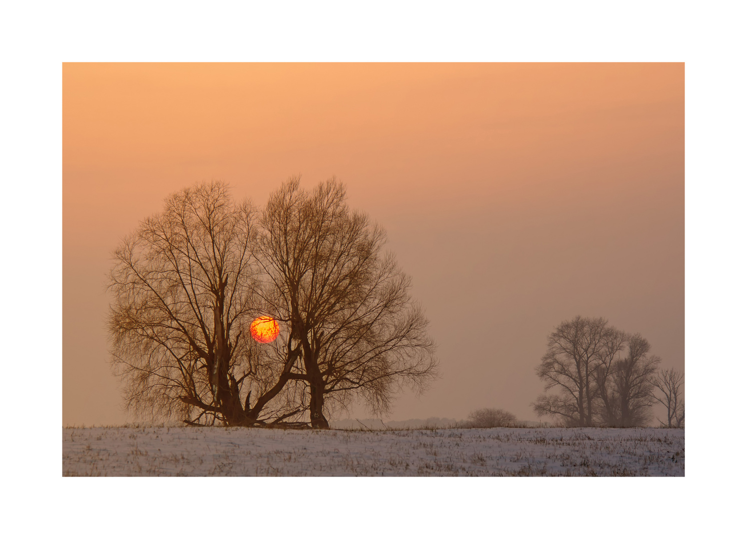 Sonnenuntergang in der Elbaue