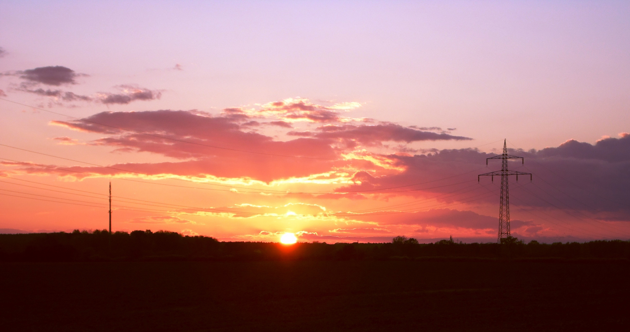 Sonnenuntergang in der Elbaue