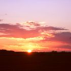 Sonnenuntergang in der Elbaue