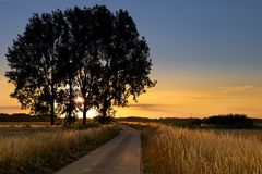 Sonnenuntergang in der Elbmarsch