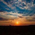 Sonnenuntergang in der Etosha