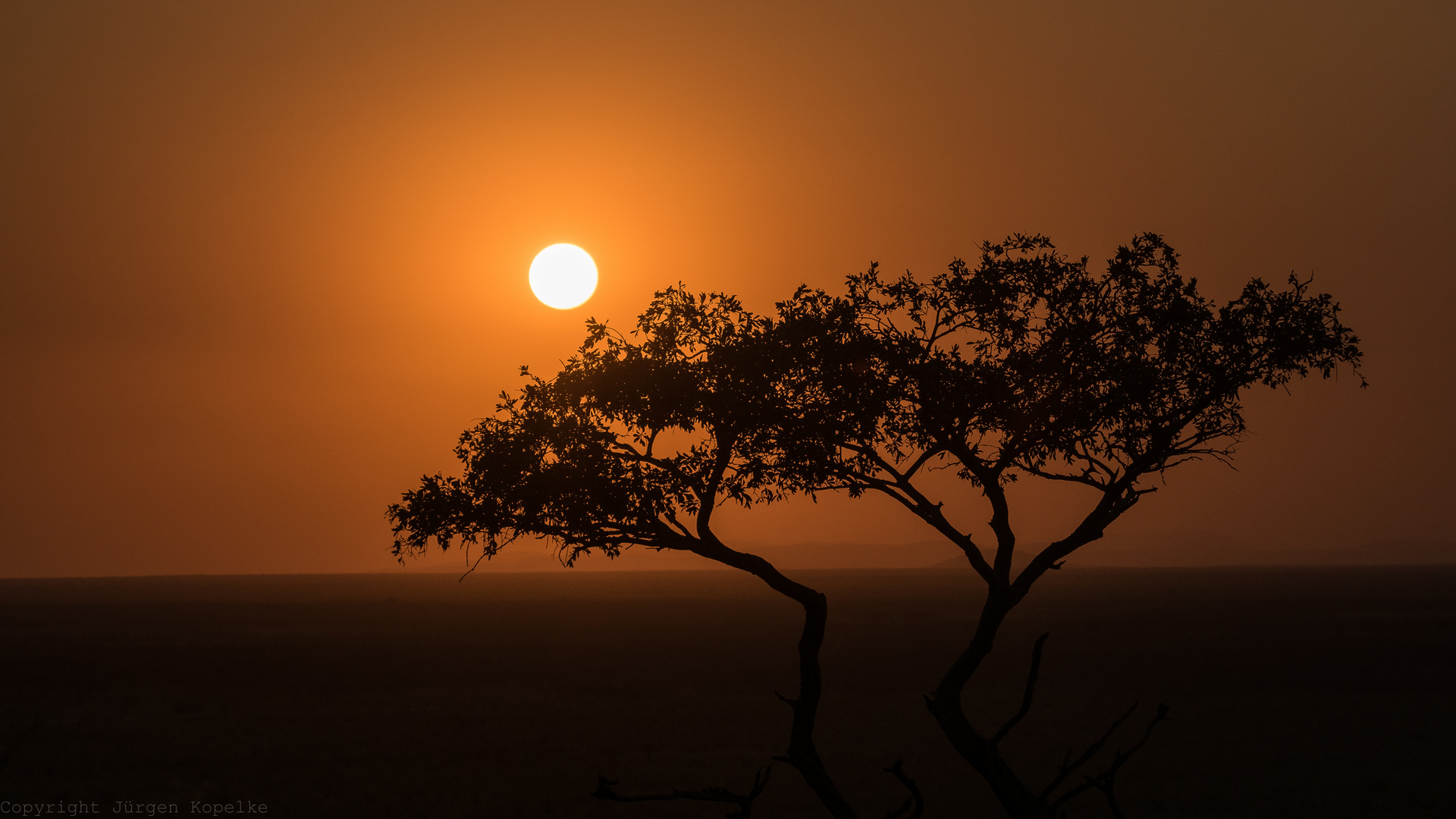 Sonnenuntergang in der Etosha Pfanne