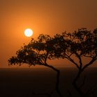 Sonnenuntergang in der Etosha Pfanne