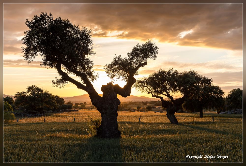 Sonnenuntergang in der Extremadura