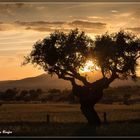 Sonnenuntergang in der Extremadura 2