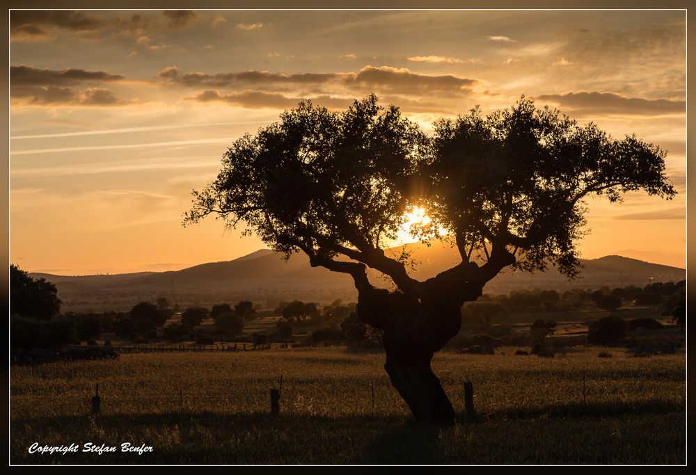 Sonnenuntergang in der Extremadura 2