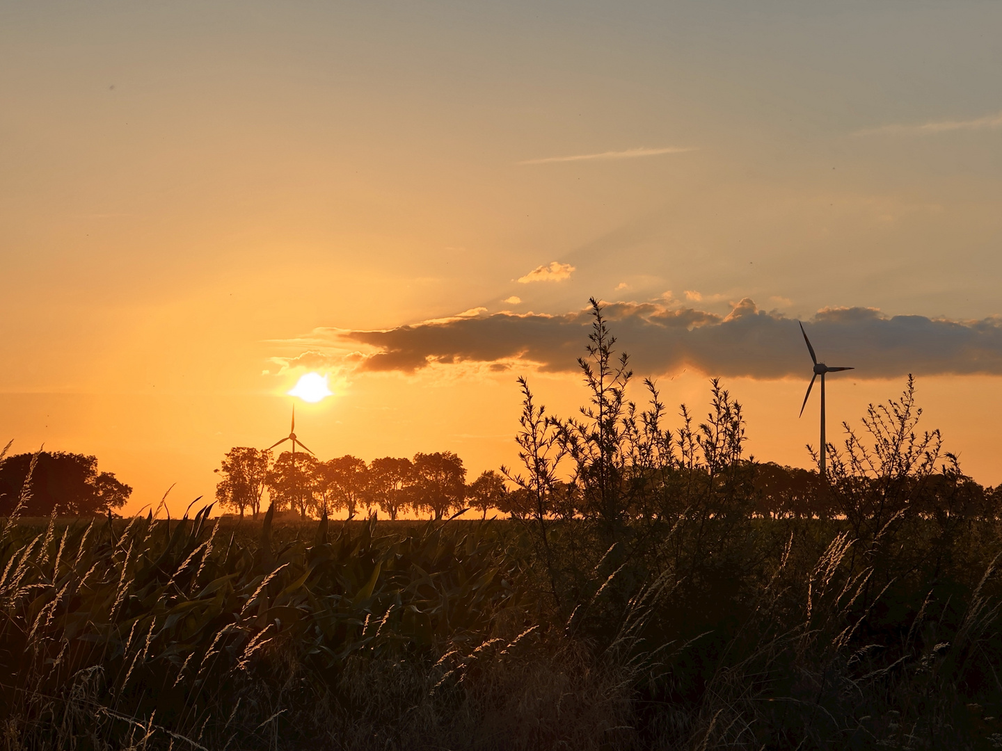 Sonnenuntergang in der Feldmark