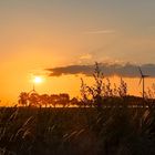 Sonnenuntergang in der Feldmark