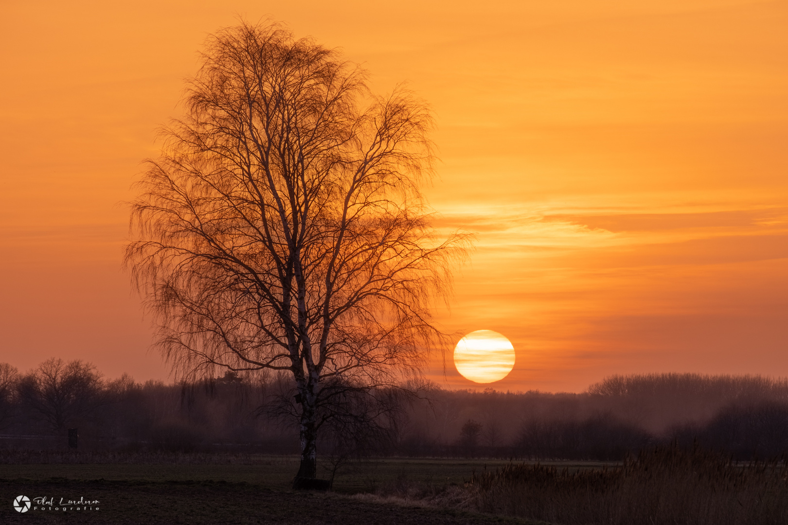 Sonnenuntergang in der Feldmark